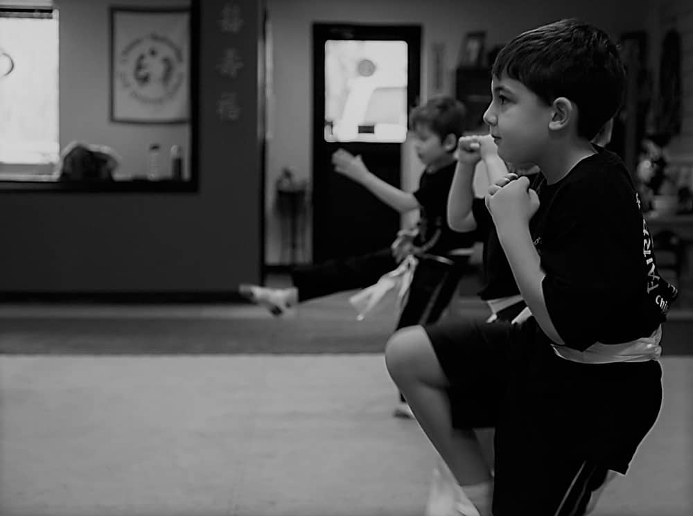 Main image of Fairport Kung Fu