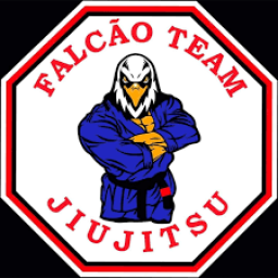Main image of FALCÃO TEAM