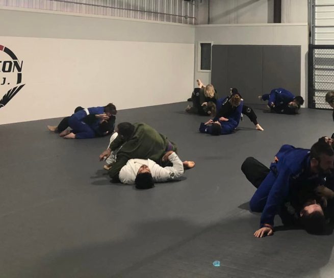 Main image of Falcon Brazilian Jiu Jitsu