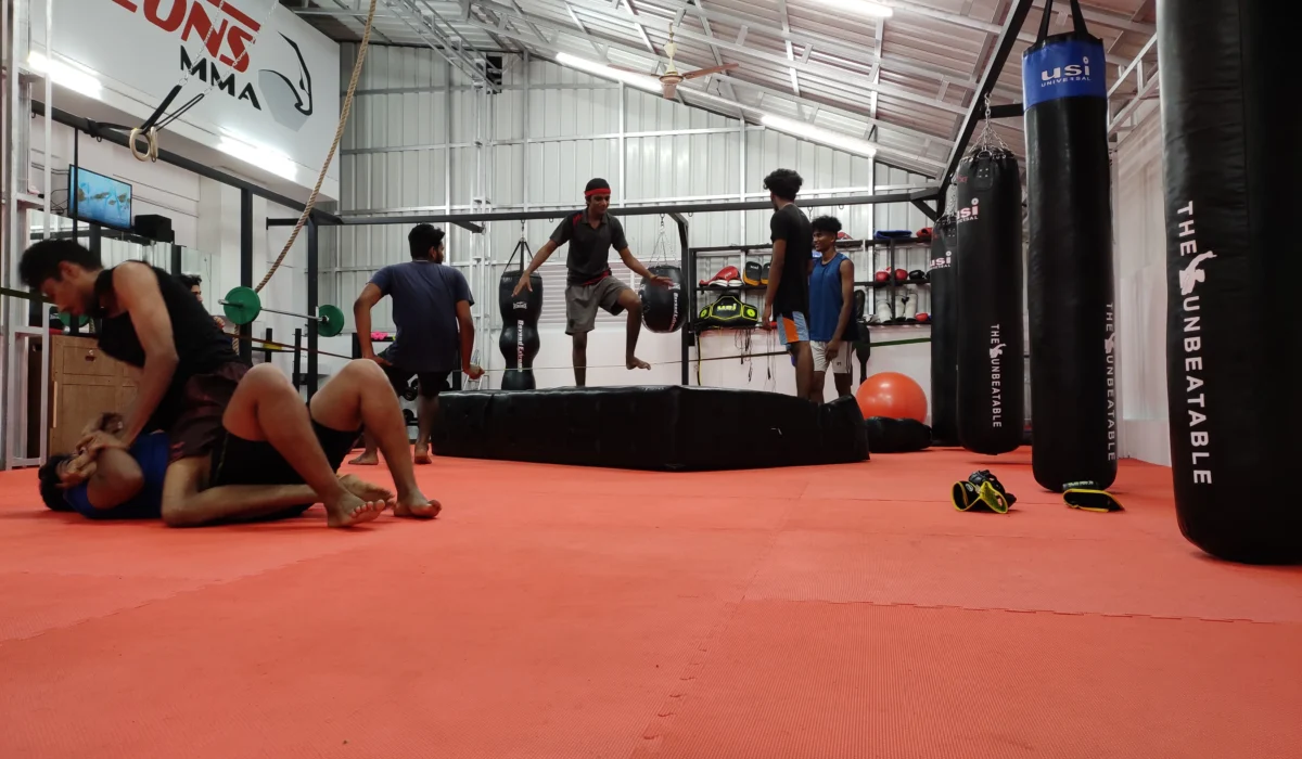 Main image of Falcons MMA