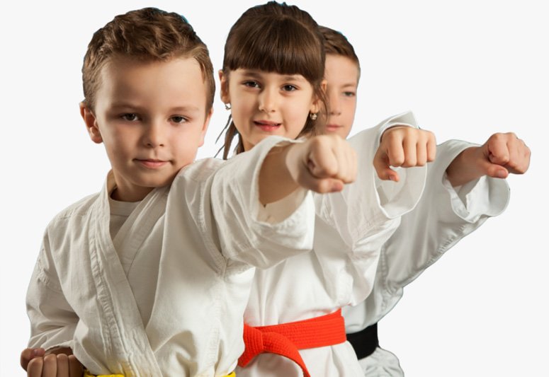 Main image of Family Martial Arts