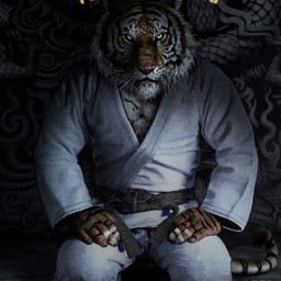 Main image of Farnham Jiu Jitsu