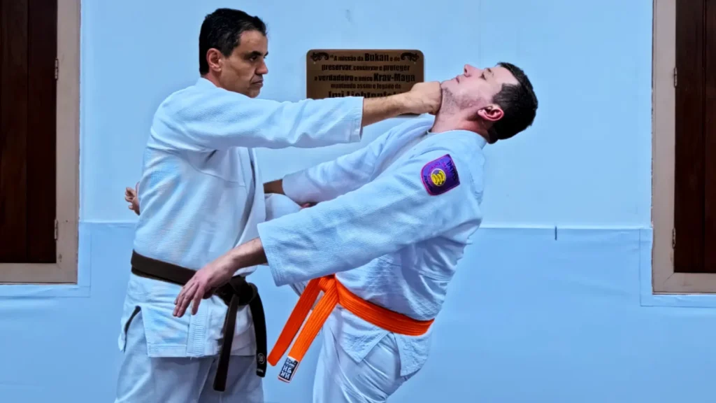 Main image of Federação Brasileira de Krav Maga e Kapap