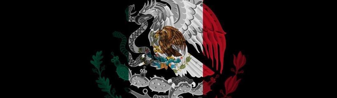 Main image of Federación de Combate Medieval de la República Mexicana