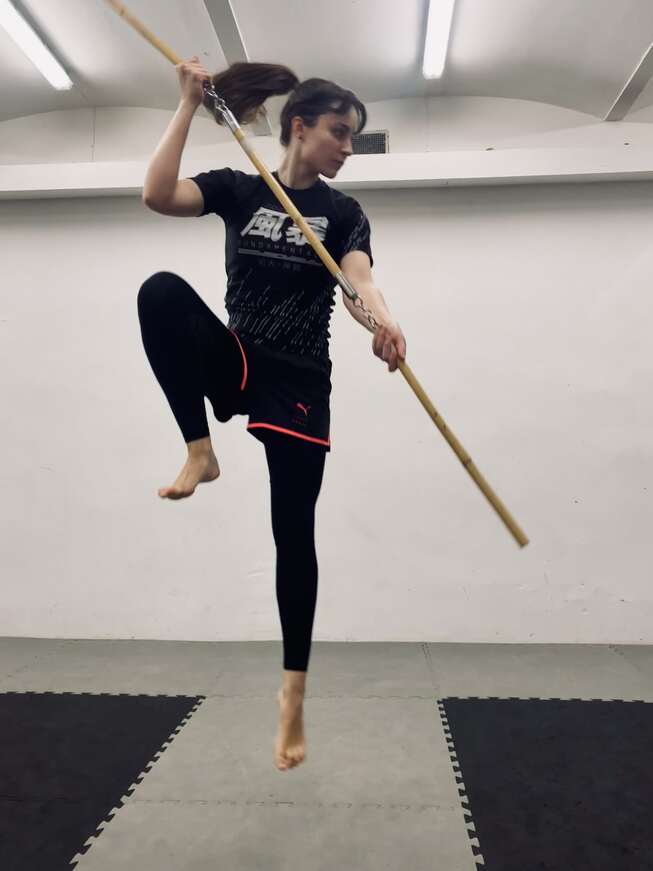 Main image of FENGBAO VIE8
