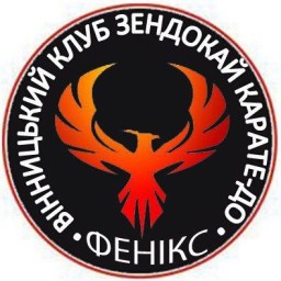 Main image of FENIX Team