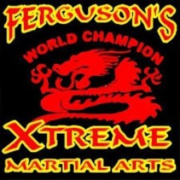Main image of Ferguson’s Xtreme Martial Arts