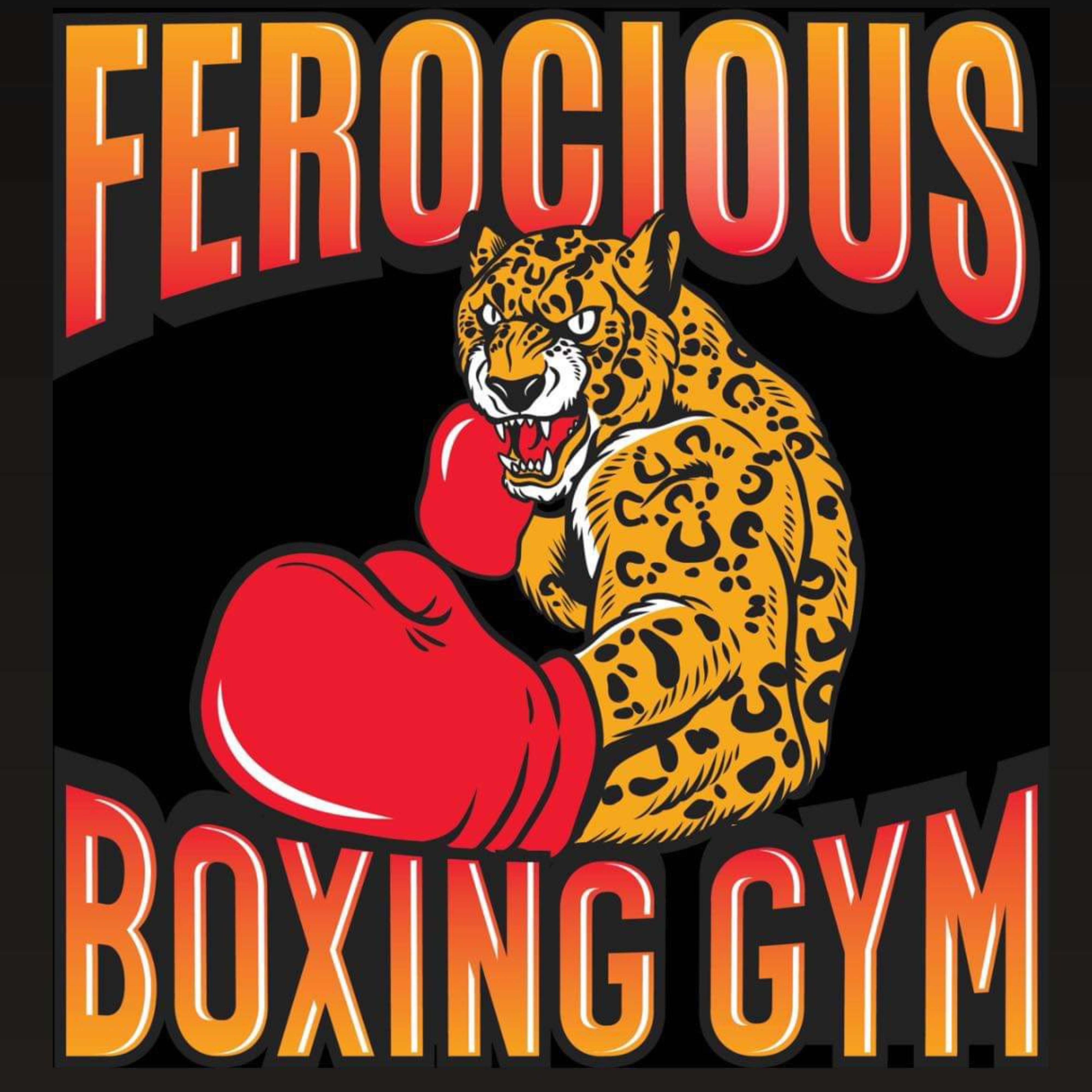 Ferocious Fitness Boxing Gym