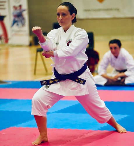 Main image of FH Karate Team