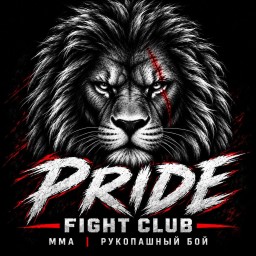 Main image of Fight club Pride
