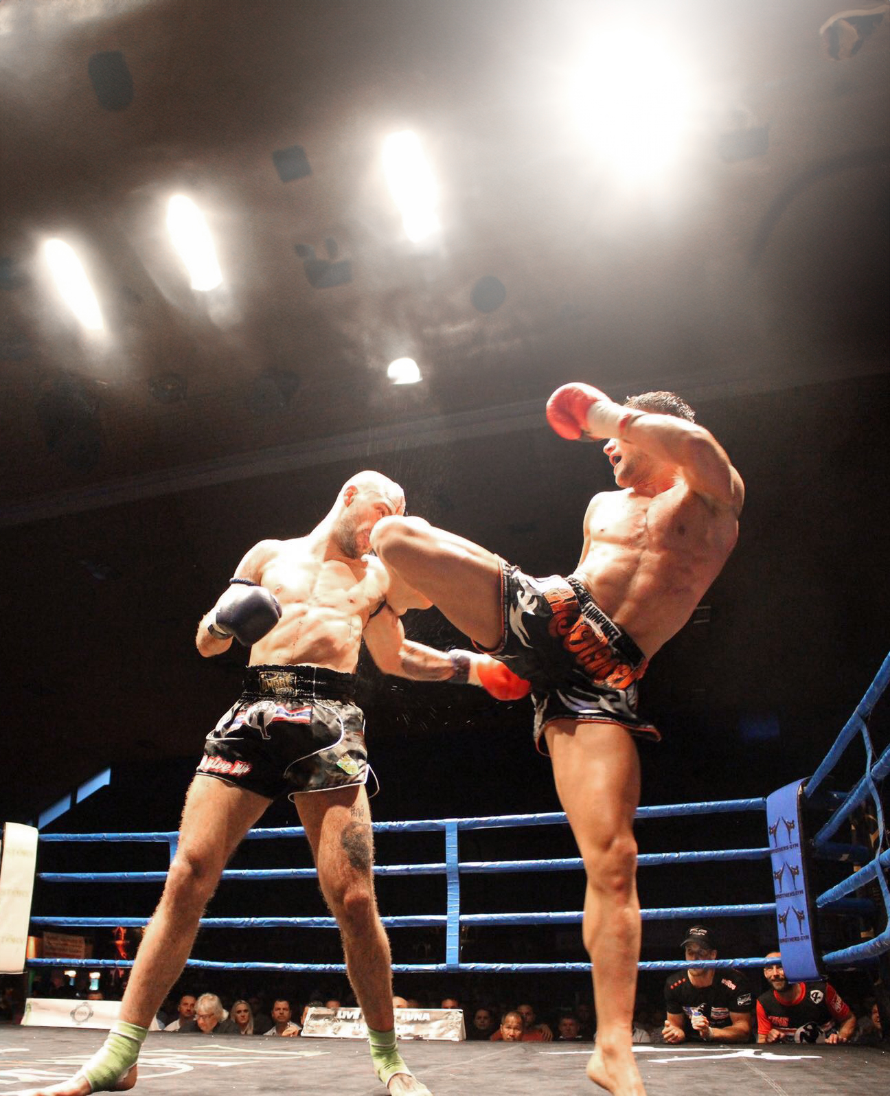 Main image of Fight Gym Aarau