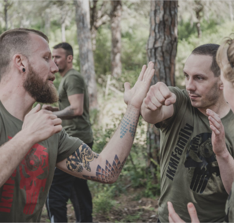 Main image of Fight or Flight Defence
