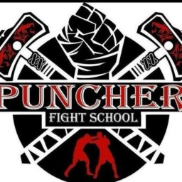 Main image of Fight_puncher_nova_odesa