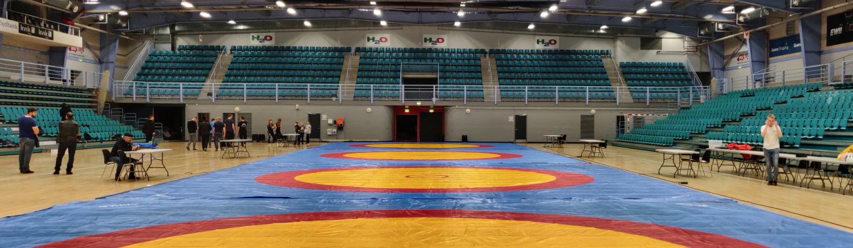 Main image of Fight team vejen
