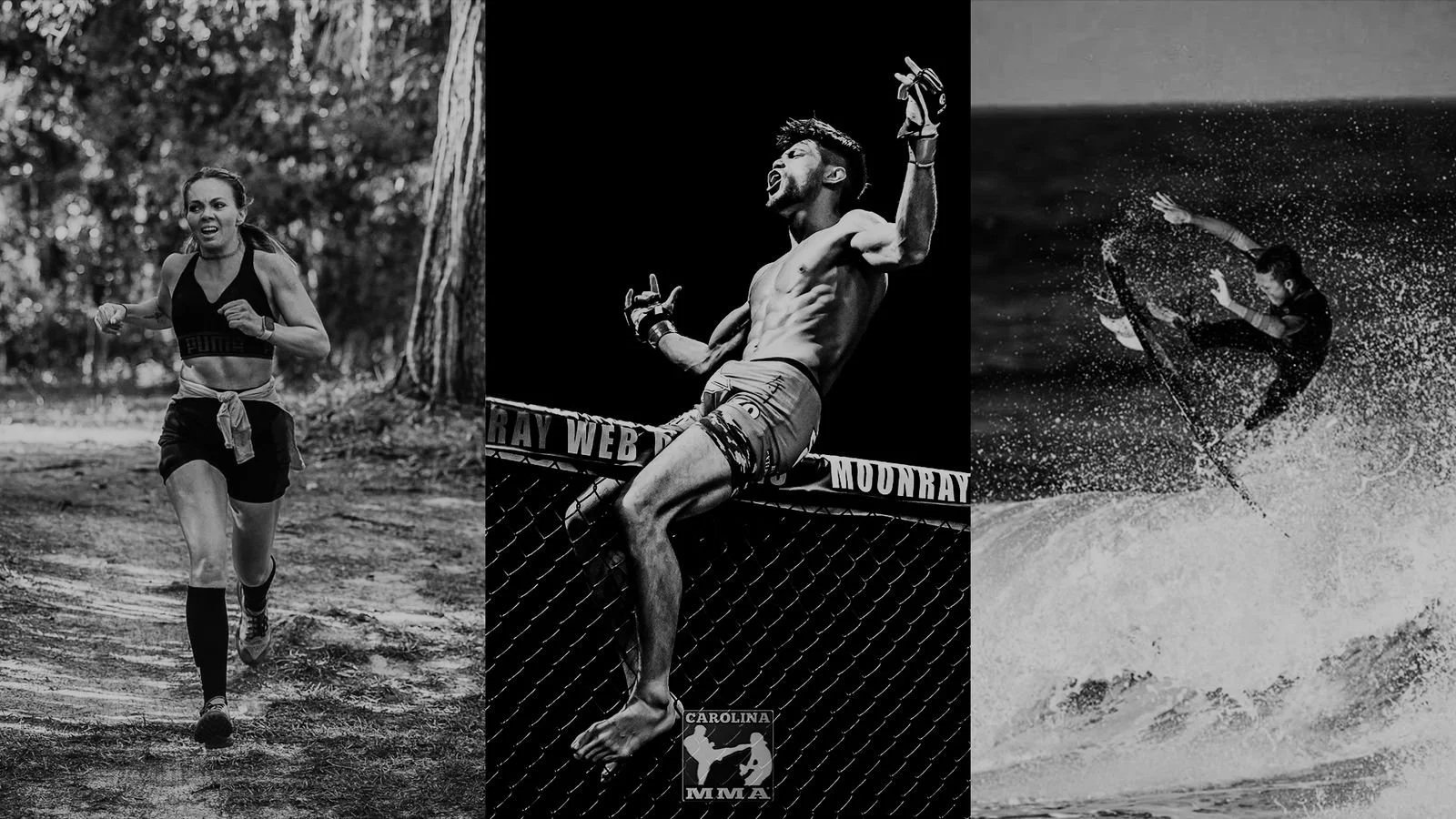 Main image of Fight X Surf