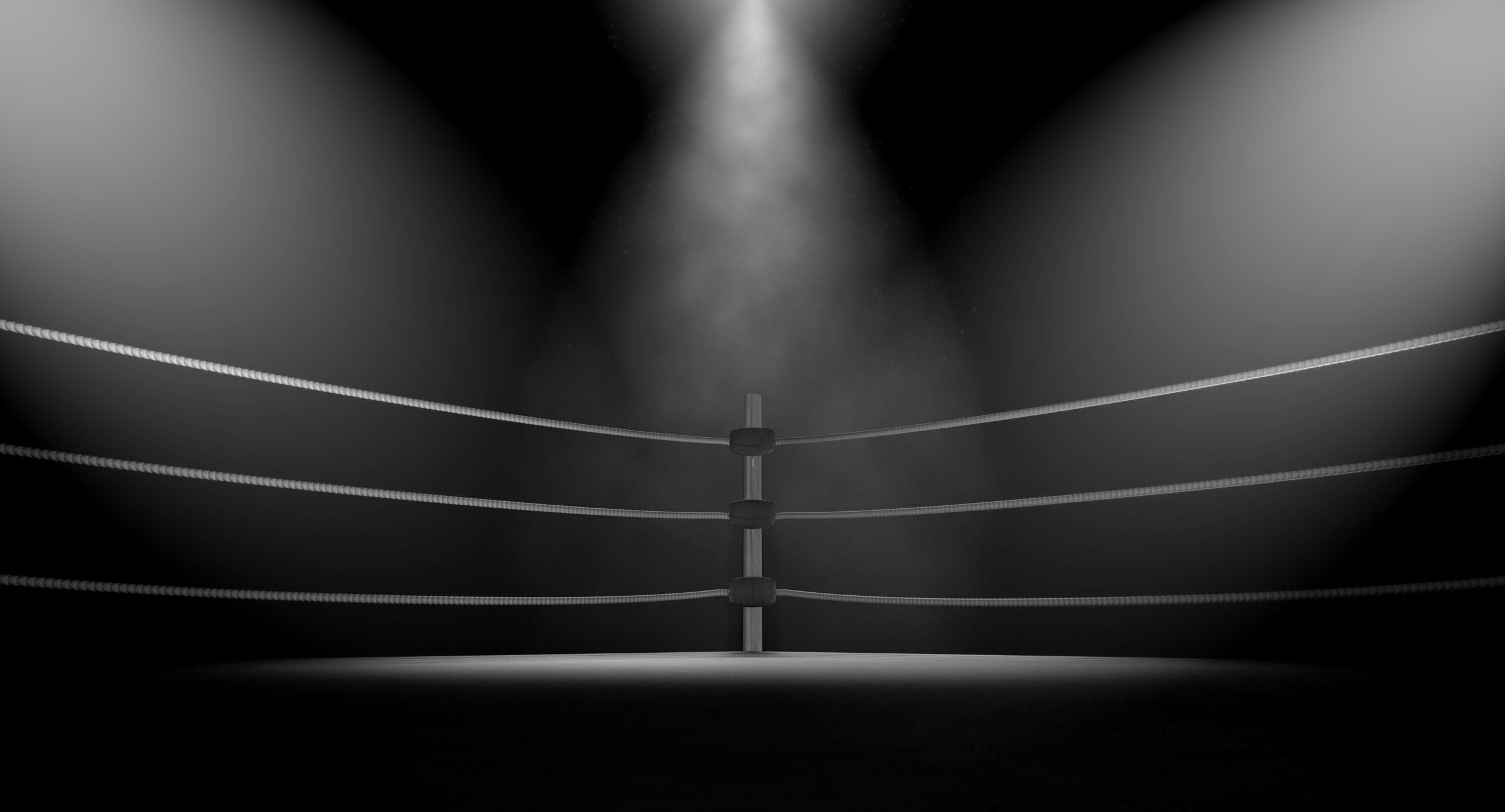 Main image of Fightback Factory Sossenheim: Pro Wrestling School