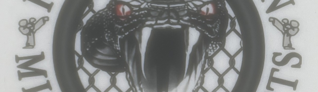 Main image of Fighter Within Mixed Martial Arts