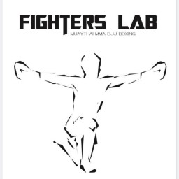 Main image of Fighters lab