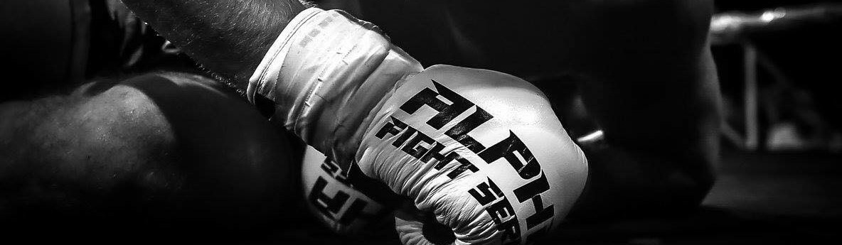 Main image of Fighters Xpress