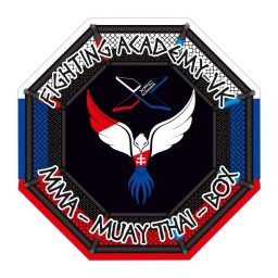 Main image of Fighting Academy Veľký Krtíš