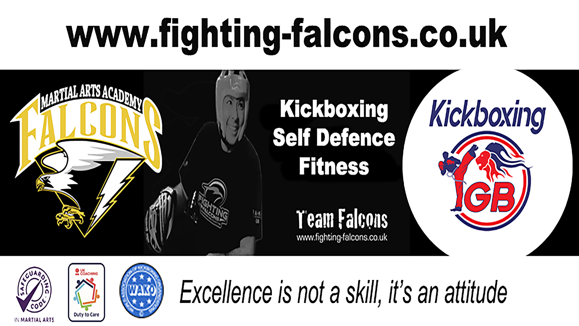 Main image of Fighting Falcons School of Martial Arts