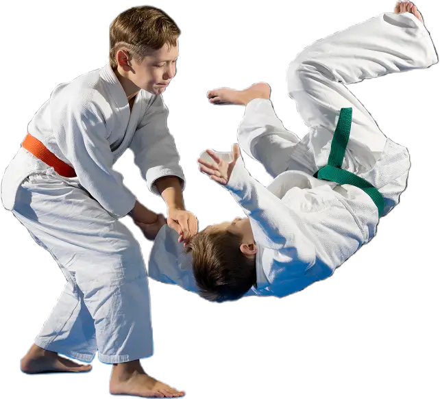 Fighting Phoenix Martial Arts Academy