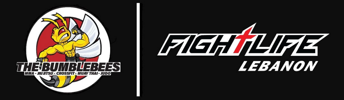 Main image of Fightlife