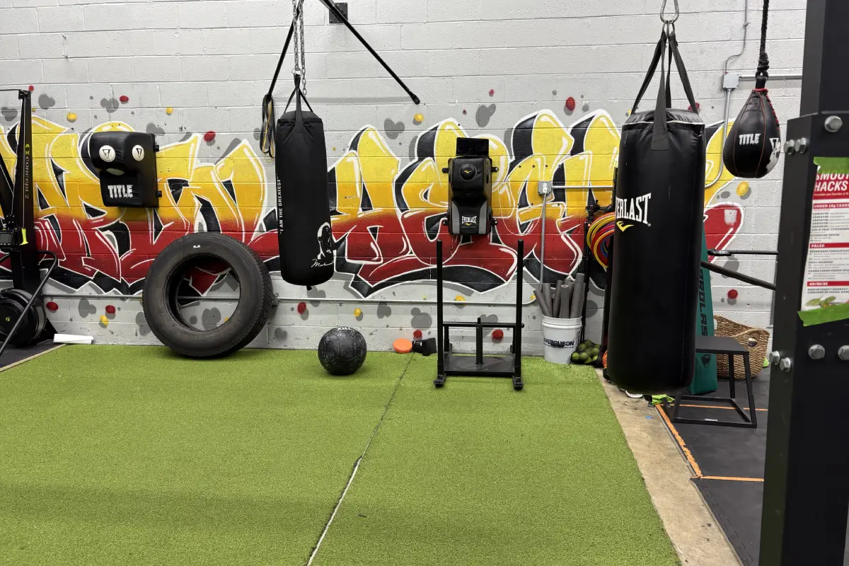 Main image of Fightshapefit