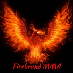 Main image of Firebrand MMA
