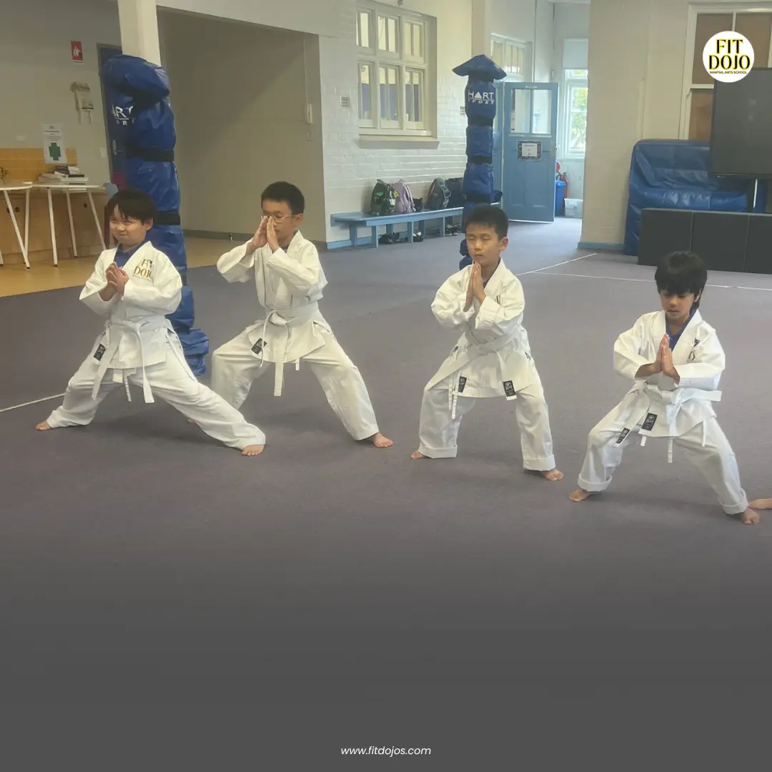 Main image of Fit Dojo Karate Taekwondo