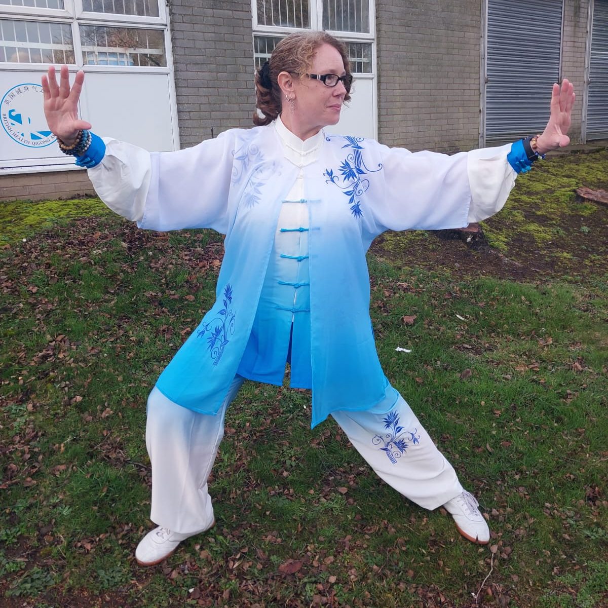 Main image of Five Bows Tai Chi & Qi Gong
