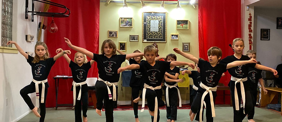 Main image of Five Element Martial Arts and Healing Center