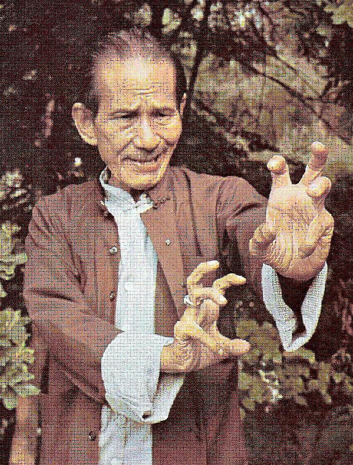 Main image of Five Pattern Hung Kuen Kung Fu