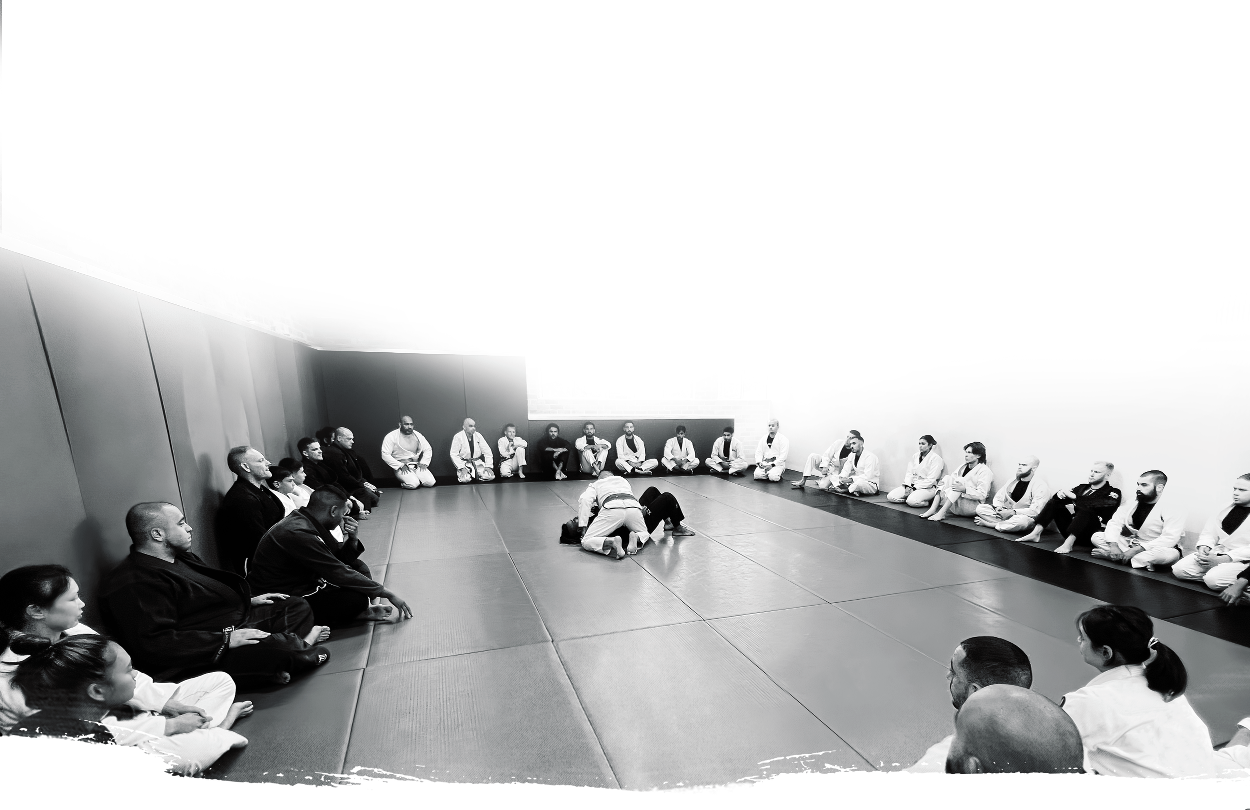 Main image of Five Rings Jiu Jitsu Academy
