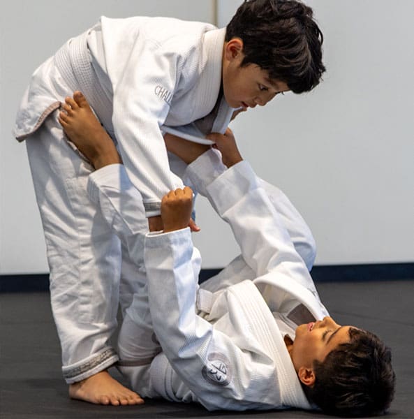 Main image of FLO Martial Arts Stouffville