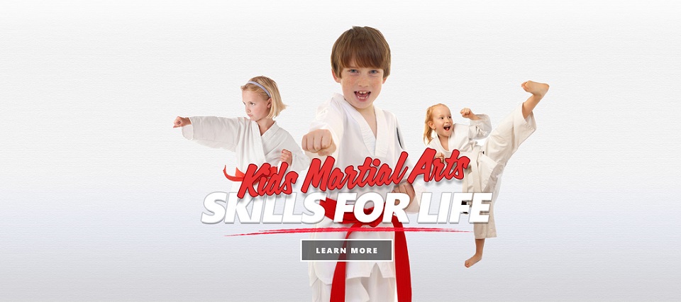 Main image of Florida Sports Martial Arts Academy