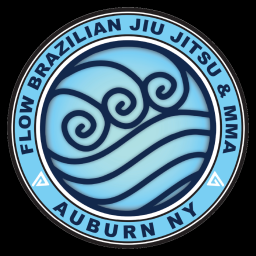 Main image of Flow BJJ and MMA
