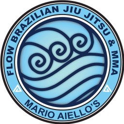 Main image of Flow BJJ NY