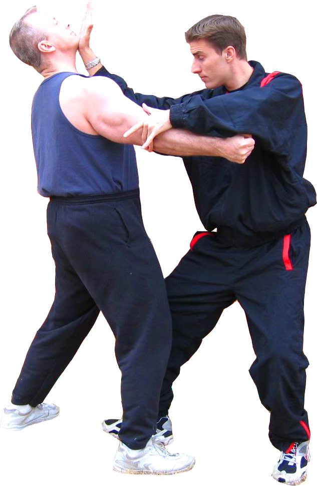 Main image of Flowing Combat
