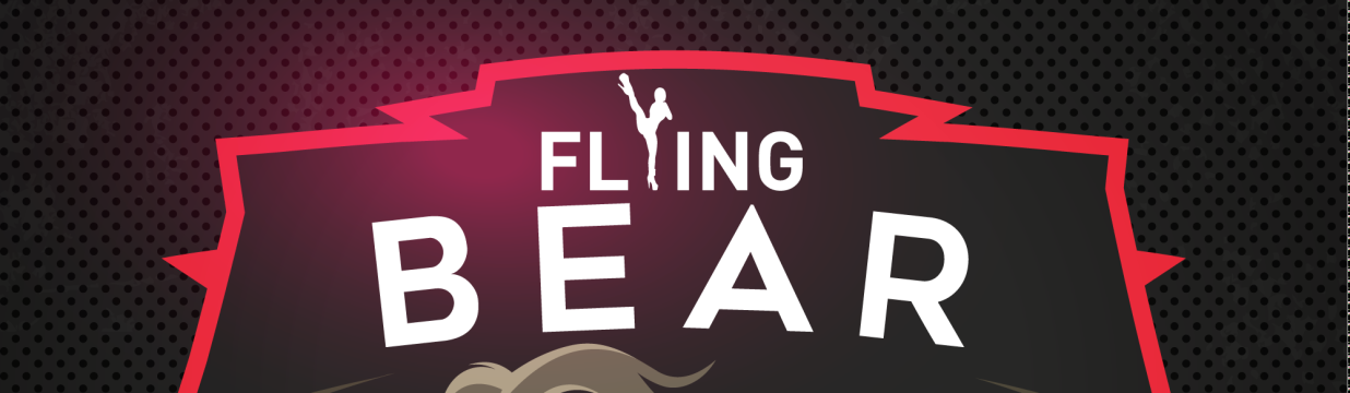 Main image of Flying bear