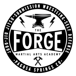 Main image of Forge Martial Arts Academy