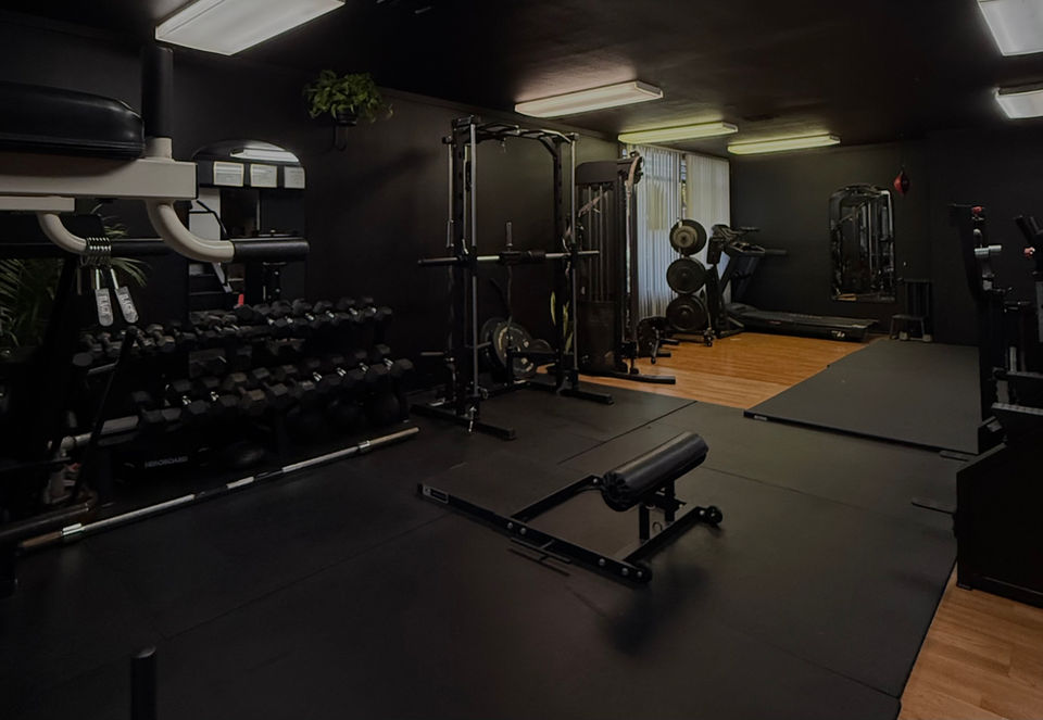 Main image of Forge Performance Wellness & Mixed Martial Arts