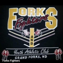 Main image of Forks Fighters