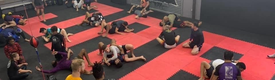Main image of Formidable Jiu-Jitsu