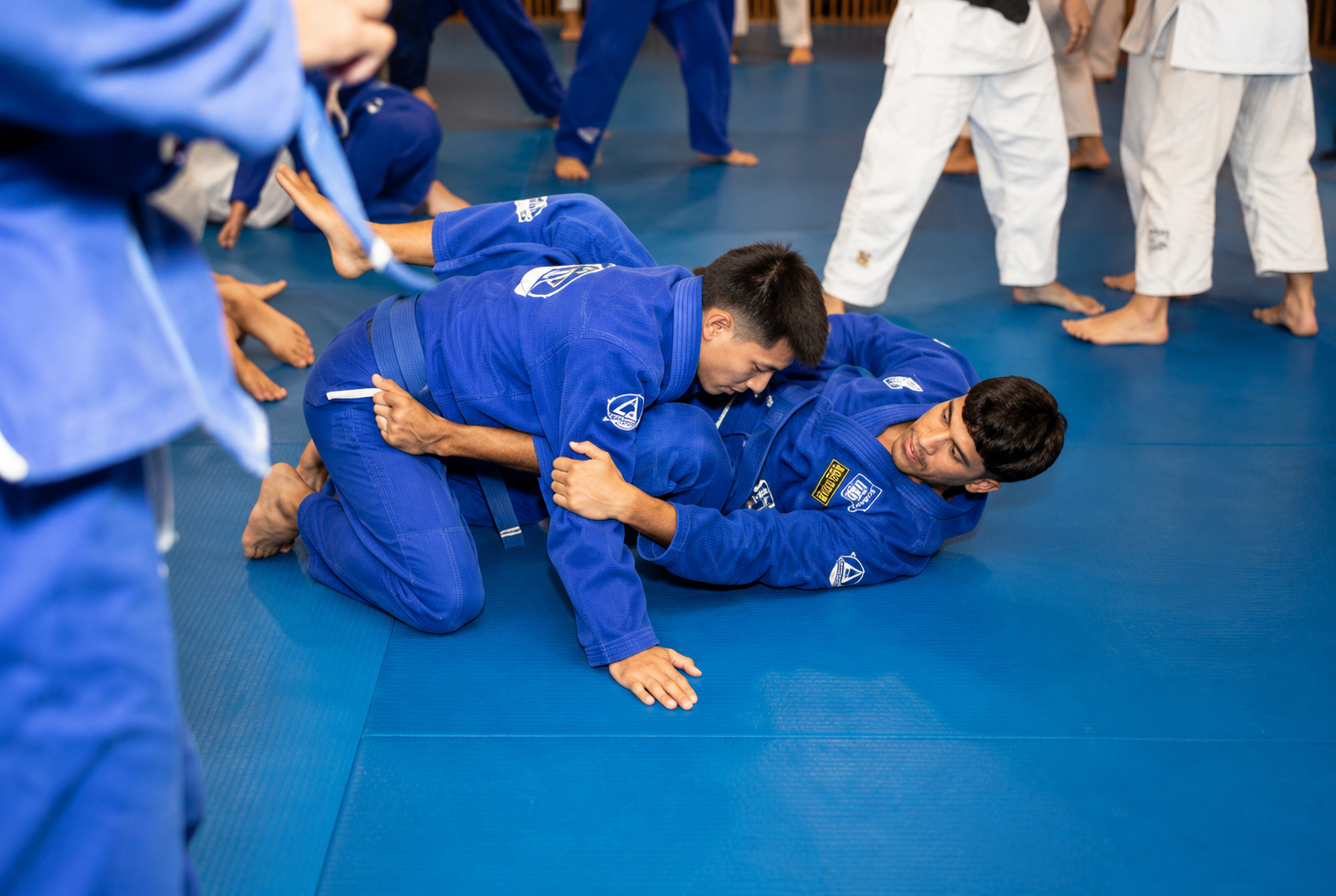 Main image of Fort Lauderdale Jiu Jitsu