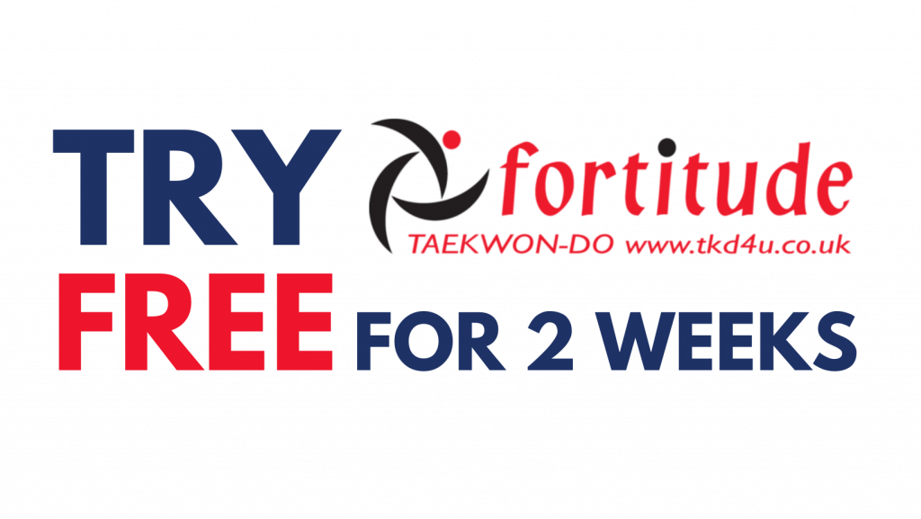 Main image of Fortitude Taekwondo Southborough