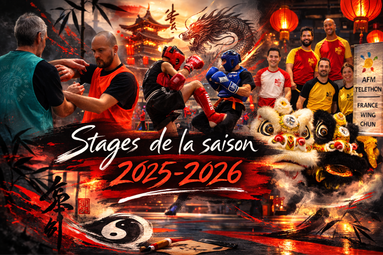 Main image of France Wing Chun Lyon -Fwc69-