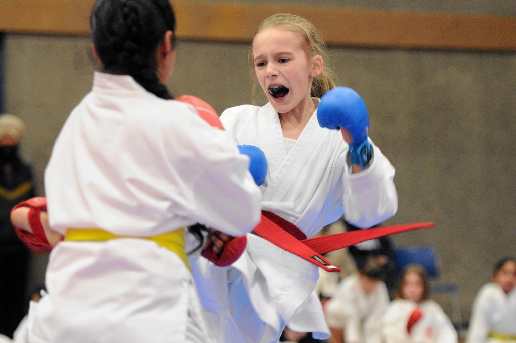Main image of Fraser Valley Shito-Ryu Karate