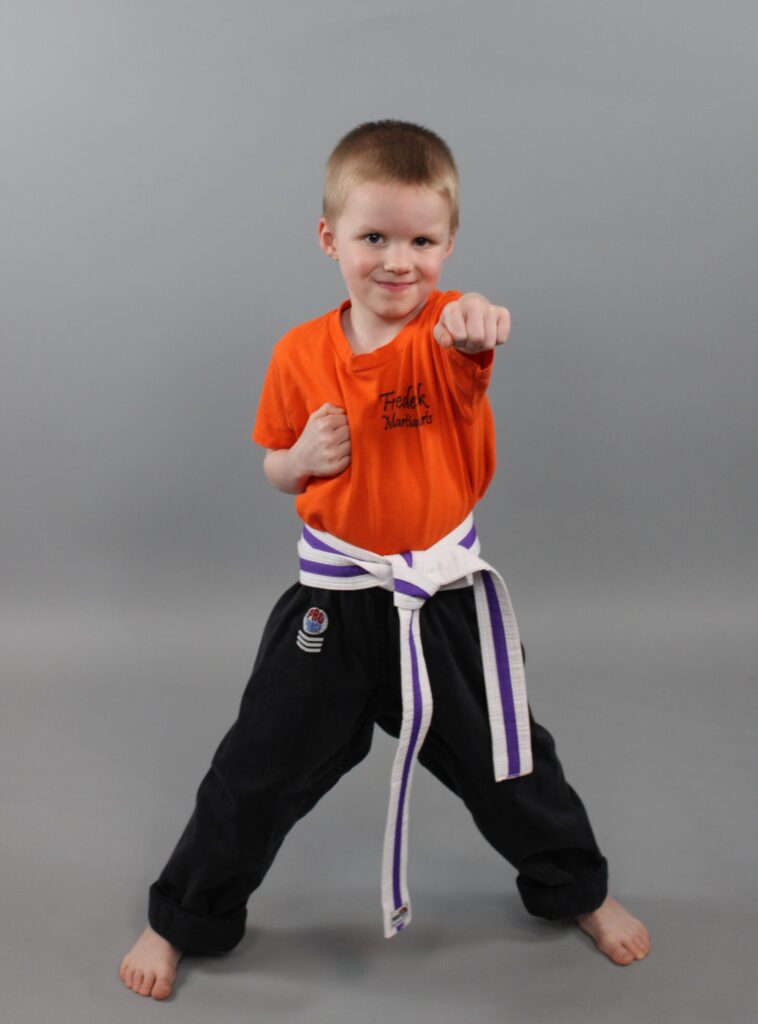 Main image of Frederick Martial Arts