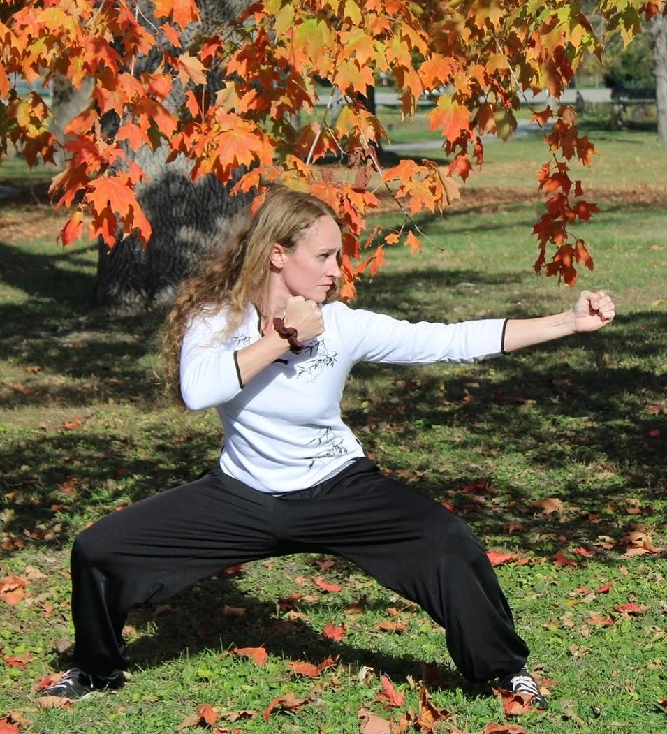 Main image of Freedom Kung fu